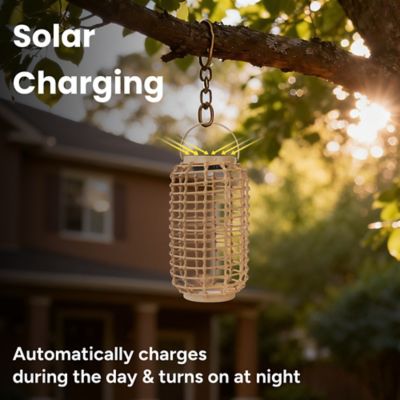 Image showing  Outdoor Solar Rattan-Style Cylindrical LED Lantern with Handle