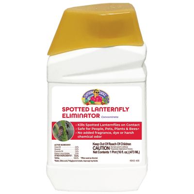 Bonide Captain Jacks Spotted Lantern Fly Eliminator Pint Concentrate