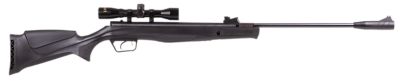 Beeman .22 Caliber Synthetic Stock Air Rifle with Scope