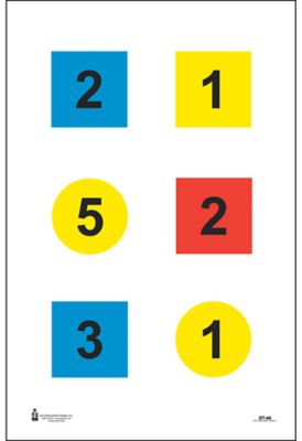 Action Target Training Discretionary Command Circle/Square Paper Shooting Targets, 23 in. x 35 in., 100-Pack, DT4C100