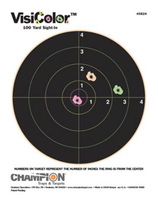 Champion Targets VisiColor Bullseye Paper Hanging Pistol/Rifle Targets with Pasters, 8.5 in. x 11 in., Multicolor, 10-Pack