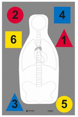 Action Target Training Multi-Purpose Silhouette Paper Hanging Shooting Targets, 23 in. x 35 in., Multicolor, 100-Pack