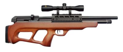 Beeman .22 Caliber Under-Lever Pre-Charged Pneumatic Air Rifle with 4x32mm Scope, Black