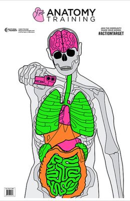 Action Target Entertainment Training Silhouette/Vitals Paper Shooting Targets, 23 in. x 35 in., 100-Pack