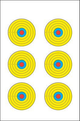 Action Target High-Visibility Bullseye Paper Shooting Targets, 17.5 in. x 23 in., Multicolor, 100-Pack