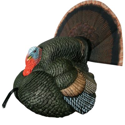 Primos Lil' Gobblestopper Strutter Box Turkey Call