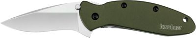 Kershaw 2.40 in. Scallion Drop Point Folding Knife, Plain Bead Blasted ...
