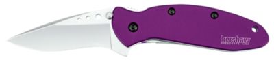 Kershaw 2.40 in. Scallion Drop Point Folding Knife, Plain Bead Blasted 420HC SS Blade, Purple Anodized Aluminum Handle