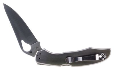 Spyderco 3.75 in. Byrd Cara Cara 2 Spear Point Folding Knife, Plain 8Cr13MoV SS Blade, SS Handle