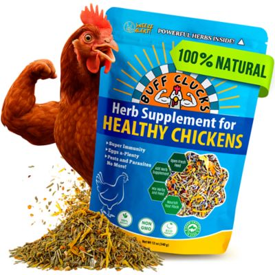 Buff Clucks All-Natural Herb Supplement for Backyard Chickens
