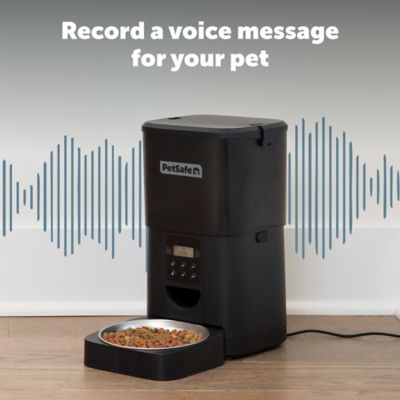 Image showing  FlexFeed Automatic Pet Feeder, Black
