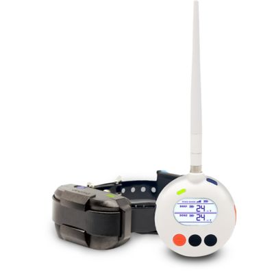 Dogtra Smart Fence