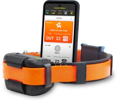 Dogtra Smart Fence Additional Receiver