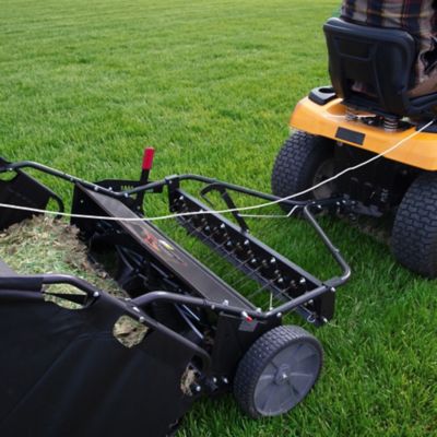 Image showing  54 in. Combo Lawn Sweeper with Dethatcher