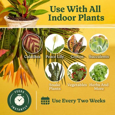 Image showing  Indoor Plant Food for All Plants, 8 fl. oz., 2 pk.