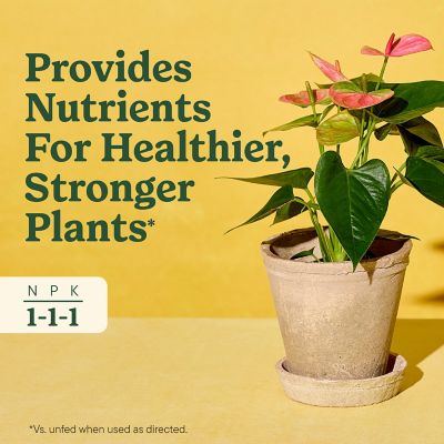 Image showing  Indoor Plant Food for All Plants, 8 fl. oz., 2 pk.