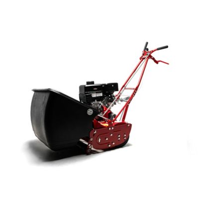 Image showing  Reel Mower 25 in. Grooved Roller 7 Blade 9.5GT B&S Engine