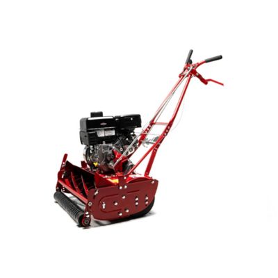 Image showing  Reel Mower 25 in. Grooved Roller 7 Blade 9.5GT B&S Engine