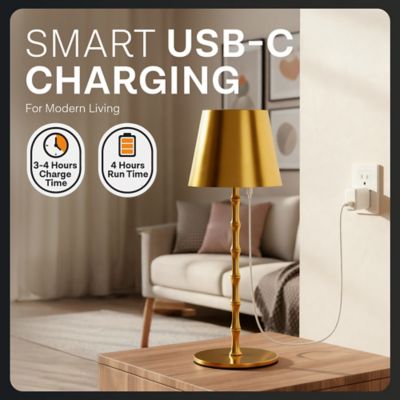Image showing  Bamboo Stem Rechargeable LED Dimmable Touch Control Cordless Portable Table Lamp