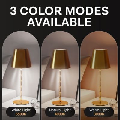 Image showing  Bamboo Stem Rechargeable LED Dimmable Touch Control Cordless Portable Table Lamp