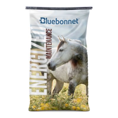 Bluebonnet Energized Maintenance