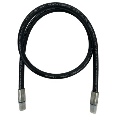 Magister Hydraulics Hydraulic Hose Assembly 1/4 in. ID x 24 in. Length, NPT Male Straight