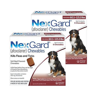 NexGard Flea & Tick Treatment for Dogs and Puppies