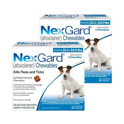 NexGard Flea & Tick Treatment for Dogs and Puppies