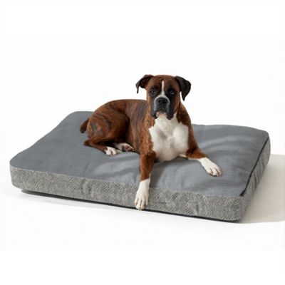 Image showing  Reversible Premium Slumber Spot Dog Bed with Ash Cloud 9 Top
