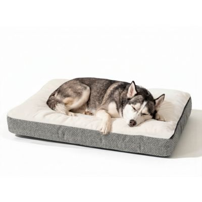 Image showing  Reversible Premium Slumber Spot Dog Bed with Ivory Cloud 9 Top