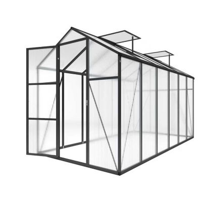 Upland 6 x 12 ft. Polycarbonate Walk-in Greenhouse, UV Protection