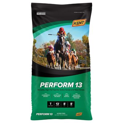 Kent Perform 13