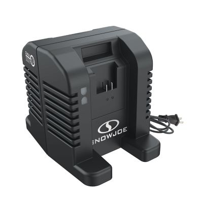 Sun Joe CERTIFIED AUTHENTIC 24V IONMAX Dual Port High Speed Charging Docking Station for iBAT24 and 24VBAT Series Batteries