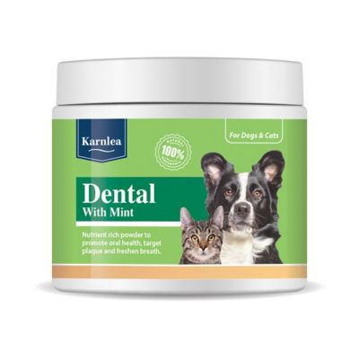 Karnlea Dental with Mint Topper