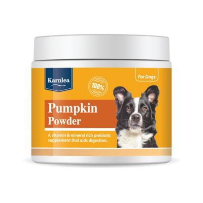Karnlea Pumpkin Powder Topper