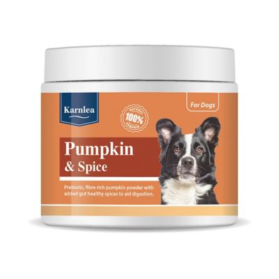 Karnlea Pumpkin & Spice Powder Topper