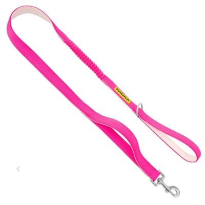 PetSafe Comfort 4 ft. Bungee Leash