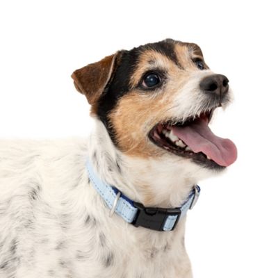 PetSafe Comfort Dog Collar