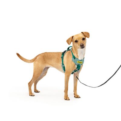 PetSafe Easy Walk Comfort Harness