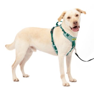 PetSafe Easy Walk Comfort Harness