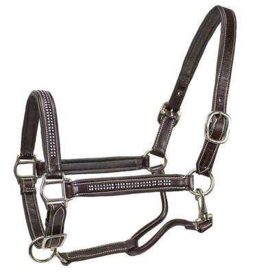 Paris Tack Adjustable Padded Leather Halter with Rhinestones