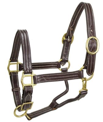 Derby Originals Triple Stitched Adjustable Horse Halter