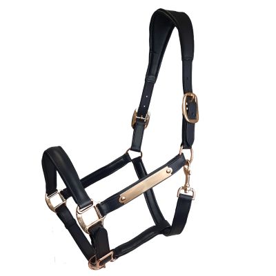 Paris Tack Padded Leather Horse Halter with Brass Name Plate