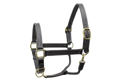 Derby Originals Triple Stitched Leather Adjustable Horse Halter
