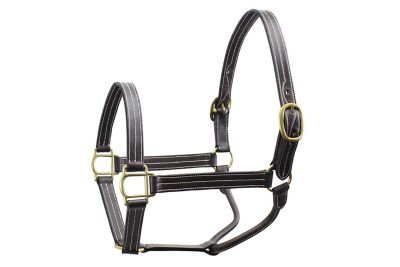 Derby Originals Triple Stitched Leather Track Horse Halter