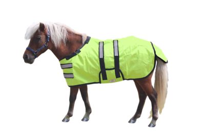 Derby Originals Originals No Hardware 600D Medium Weight Winter Foal Mini Horse Turnout Blanket 150g