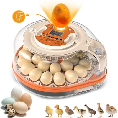 Avatar Controls Smart Chicken Egg Incubator with Voice Control 26 Chicken 59 Bird Incubators Automatic Egg Turner