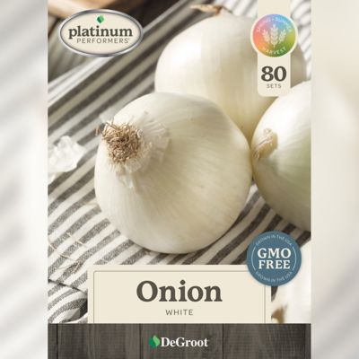 DeGroot Fall Onion, White