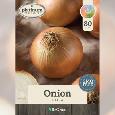 DeGroot Fall Onion, Yellow