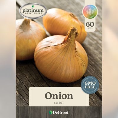 DeGroot Fall Onion, Sweet